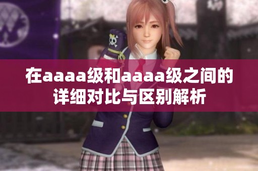 在aaaa级和aaaa级之间的详细对比与区别解析