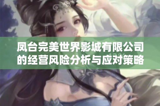 凤台完美世界影城有限公司的经营风险分析与应对策略