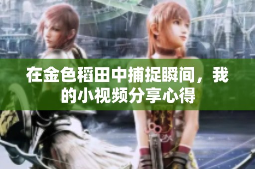 在金色稻田中捕捉瞬间，我的小视频分享心得