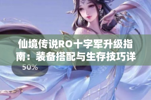 仙境传说RO十字军升级指南：装备搭配与生存技巧详解