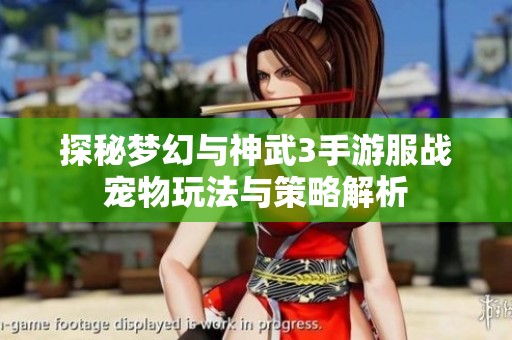 探秘梦幻与神武3手游服战宠物玩法与策略解析