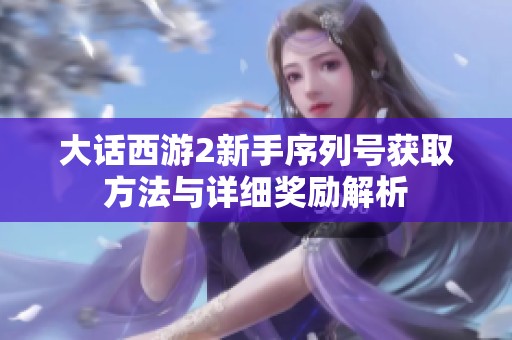大话西游2新手序列号获取方法与详细奖励解析