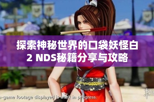 探索神秘世界的口袋妖怪白2 NDS秘籍分享与攻略