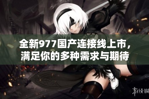 全新977国产连接线上市，满足你的多种需求与期待