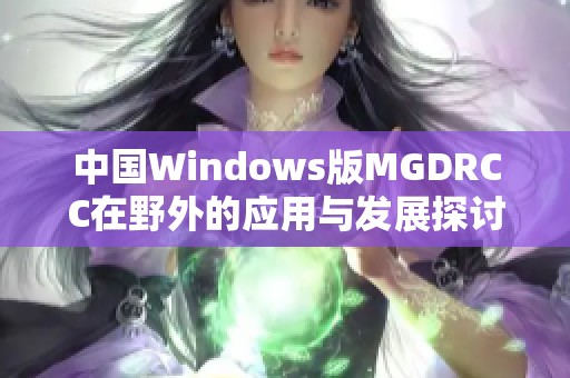 中国Windows版MGDRCC在野外的应用与发展探讨