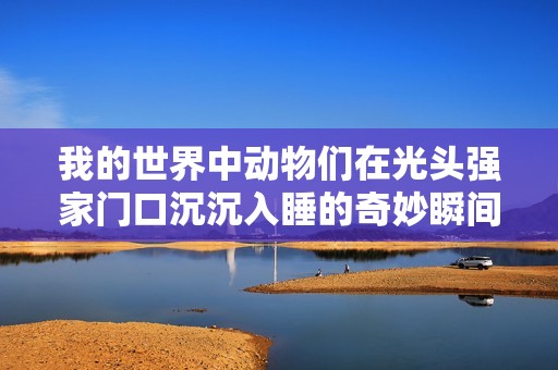 我的世界中动物们在光头强家门口沉沉入睡的奇妙瞬间