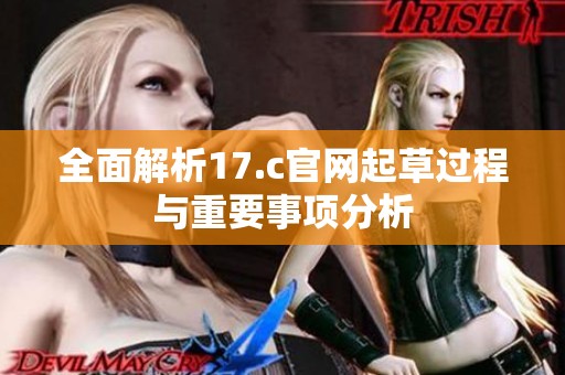 全面解析17.c官网起草过程与重要事项分析