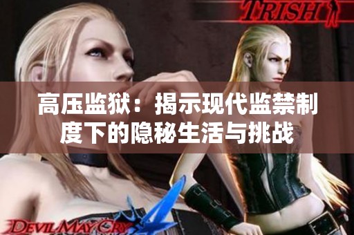 高压监狱：揭示现代监禁制度下的隐秘生活与挑战