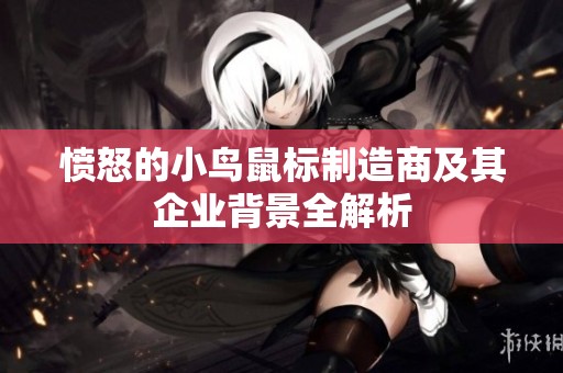 愤怒的小鸟鼠标制造商及其企业背景全解析