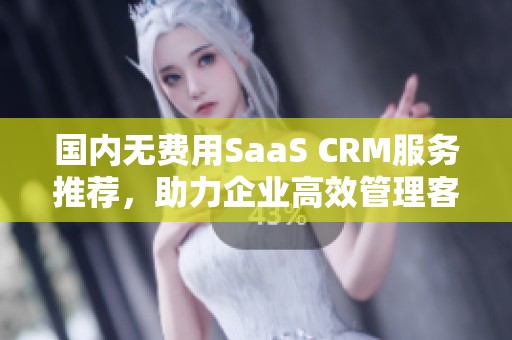 国内无费用SaaS CRM服务推荐，助力企业高效管理客户关系