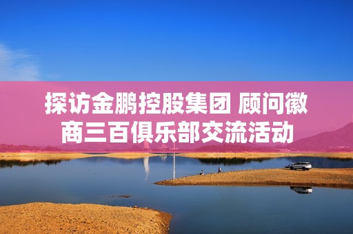 探访金鹏控股集团 顾问徽商三百俱乐部交流活动