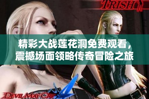 精彩大战莲花洞免费观看，震撼场面领略传奇冒险之旅