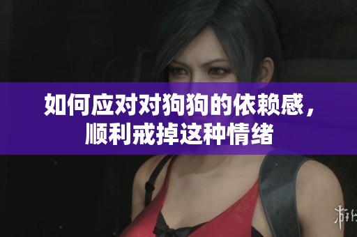 如何应对对狗狗的依赖感，顺利戒掉这种情绪