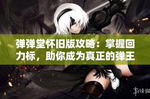 弹弹堂怀旧版攻略：掌握回力标，助你成为真正的弹王