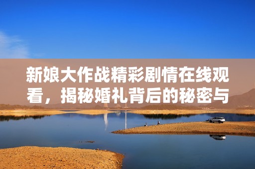 新娘大作战精彩剧情在线观看，揭秘婚礼背后的秘密与挑战