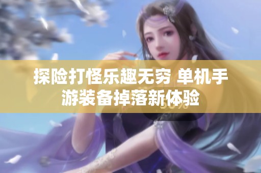 探险打怪乐趣无穷 单机手游装备掉落新体验