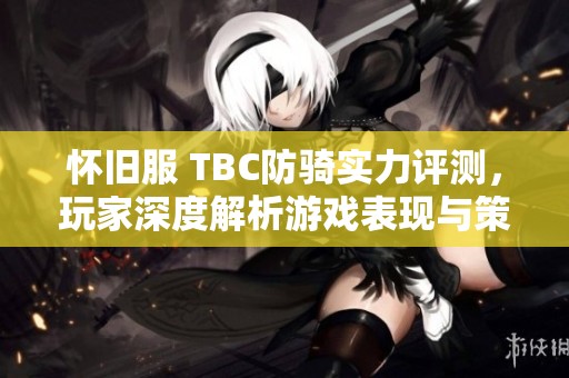 怀旧服 TBC防骑实力评测，玩家深度解析游戏表现与策略