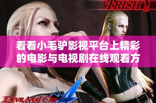 看看小毛驴影视平台上精彩的电影与电视剧在线观看方式