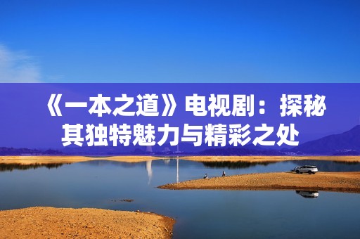 《一本之道》电视剧：探秘其独特魅力与精彩之处