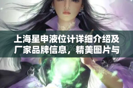 上海星申液位计详细介绍及厂家品牌信息，精美图片与热帖分享，助您了解更多选择建议
