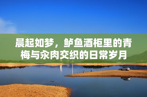 晨起如梦，鲈鱼酒柜里的青梅与汆肉交织的日常岁月