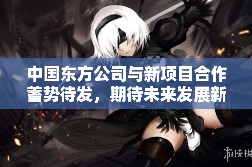 中国东方公司与新项目合作蓄势待发，期待未来发展新机会