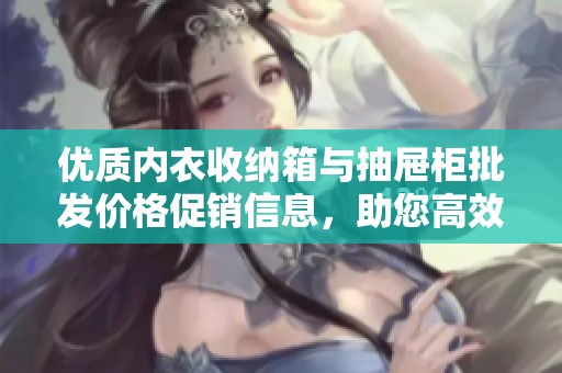 优质内衣收纳箱与抽屉柜批发价格促销信息，助您高效整理生活空间