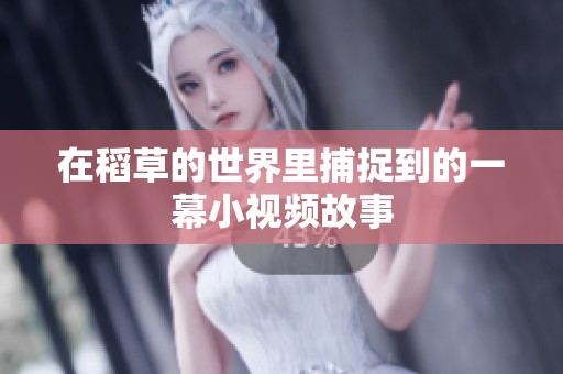 在稻草的世界里捕捉到的一幕小视频故事