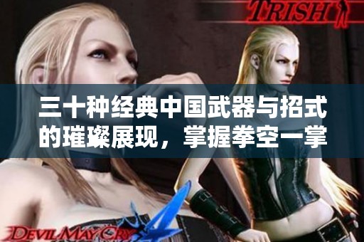 三十种经典中国武器与招式的璀璨展现，掌握拳空一掌刀光闪烁的武道魅力