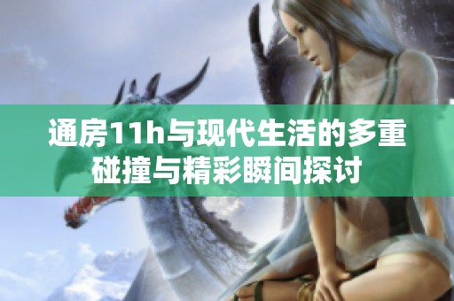通房11h与现代生活的多重碰撞与精彩瞬间探讨