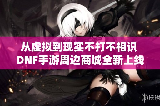 从虚拟到现实不打不相识 DNF手游周边商城全新上线共赴热血冒险之旅