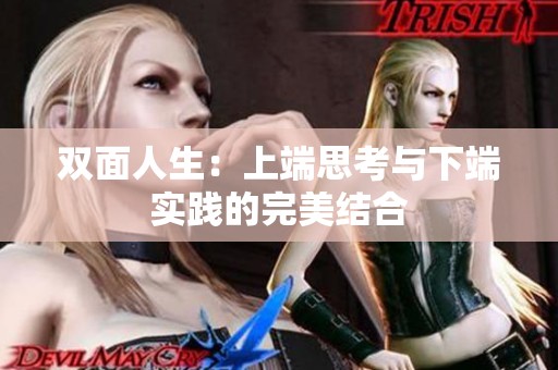 双面人生：上端思考与下端实践的完美结合