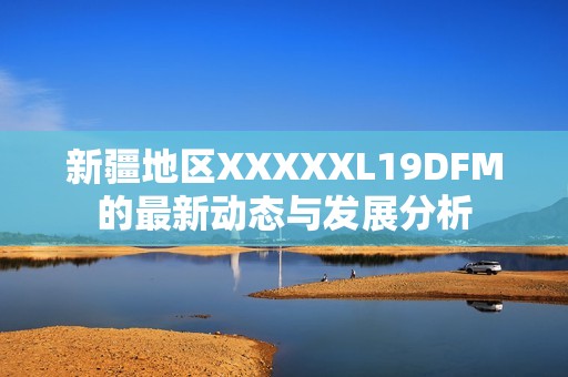 新疆地区XXXXXL19DFM的最新动态与发展分析