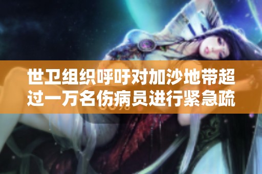 世卫组织呼吁对加沙地带超过一万名伤病员进行紧急疏散与医疗救治