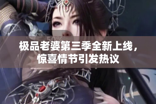 极品老婆第三季全新上线，惊喜情节引发热议