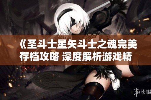 《圣斗士星矢斗士之魂完美存档攻略 深度解析游戏精彩内容与技巧》