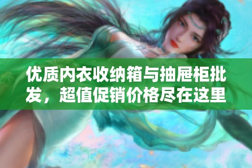 优质内衣收纳箱与抽屉柜批发，超值促销价格尽在这里，助您轻松整理收纳