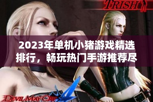 2023年单机小猪游戏精选排行，畅玩热门手游推荐尽在火把云手游网