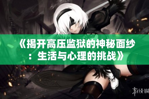 《揭开高压监狱的神秘面纱：生活与心理的挑战》
