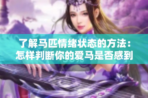 了解马匹情绪状态的方法：怎样判断你的爱马是否感到快乐和幸福