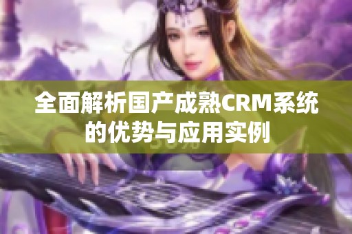 全面解析国产成熟CRM系统的优势与应用实例