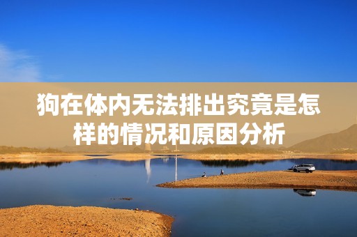 狗在体内无法排出究竟是怎样的情况和原因分析
