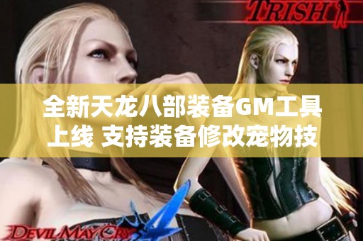 全新天龙八部装备GM工具上线 支持装备修改宠物技能调整与重写功能