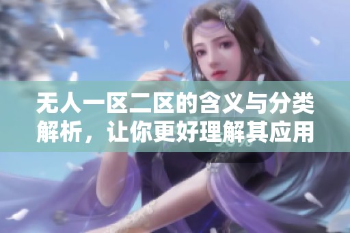 无人一区二区的含义与分类解析，让你更好理解其应用方式