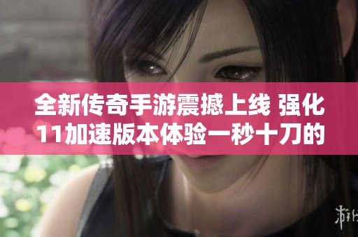 全新传奇手游震撼上线 强化11加速版本体验一秒十刀的畅快战斗快感