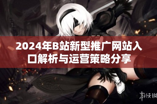 2024年B站新型推广网站入口解析与运营策略分享