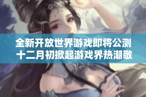 全新开放世界游戏即将公测 十二月初掀起游戏界热潮敬请期待