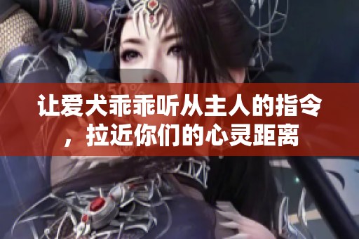 让爱犬乖乖听从主人的指令，拉近你们的心灵距离