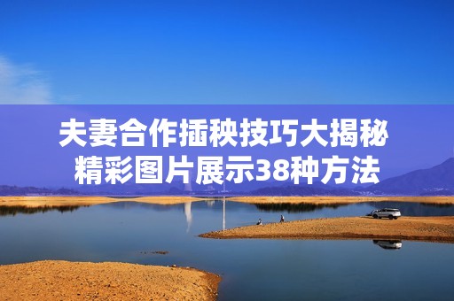 夫妻合作插秧技巧大揭秘 精彩图片展示38种方法