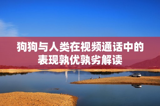 狗狗与人类在视频通话中的表现孰优孰劣解读